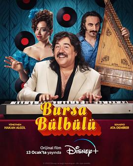午夜国产精品不卡在线观看